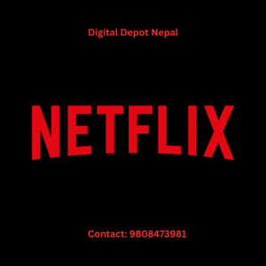 Netflix Shared 2 Screen / Device plan